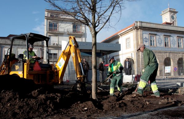 Praça do Almada recebe as primeiras árvores