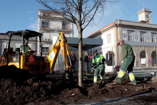 Praça do Almada recebe as primeiras árvores