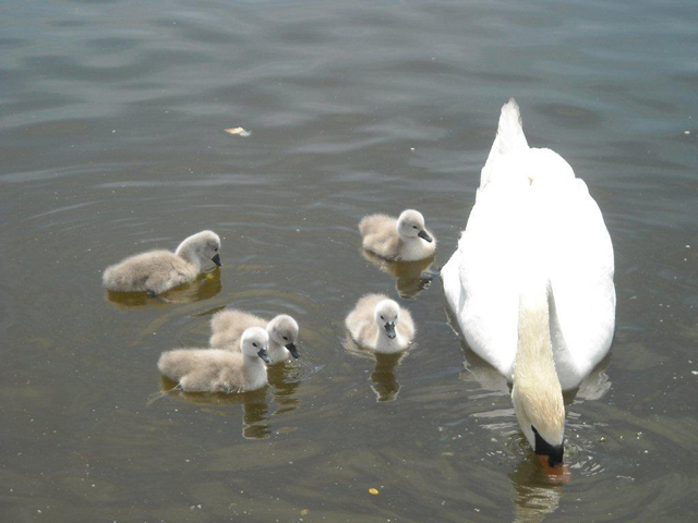 Cinco novos motivos para visitar o Parque da Cidade