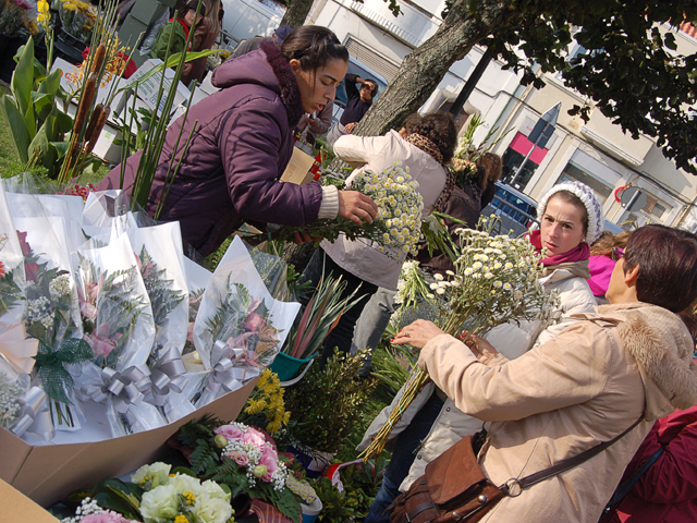 Comerciantes e clientes satisfeitos com nova organização do Mercado de Flores
