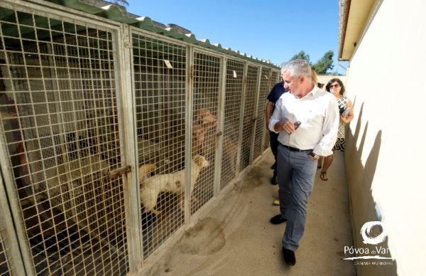 Novidades para breve no Canil e n'A Cerca