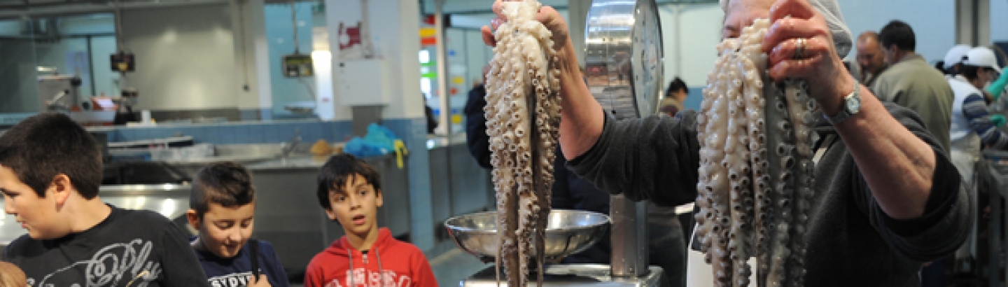 Município levou Sabores Poveiros às escolas