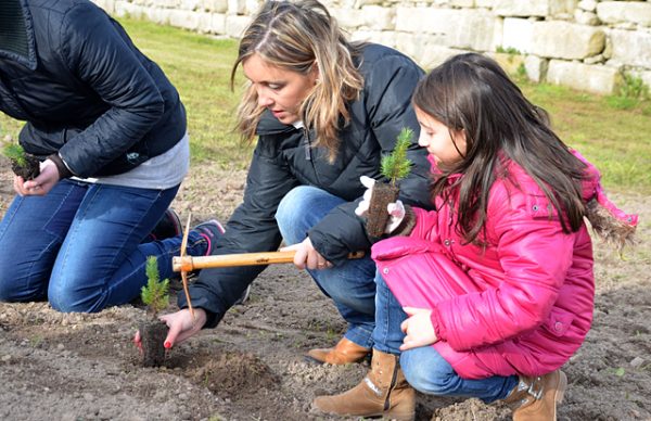 Plantação de árvores marcou Dia da Floresta Autóctone