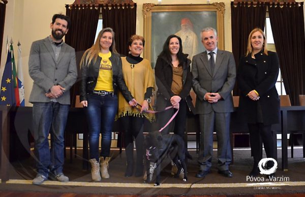 Póvoa de Varzim deixa de apoiar touradas e de eutanasiar animais