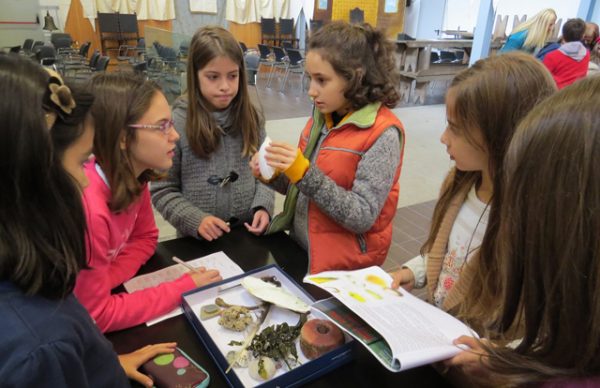 Alunos celebraram o Mar no Museu