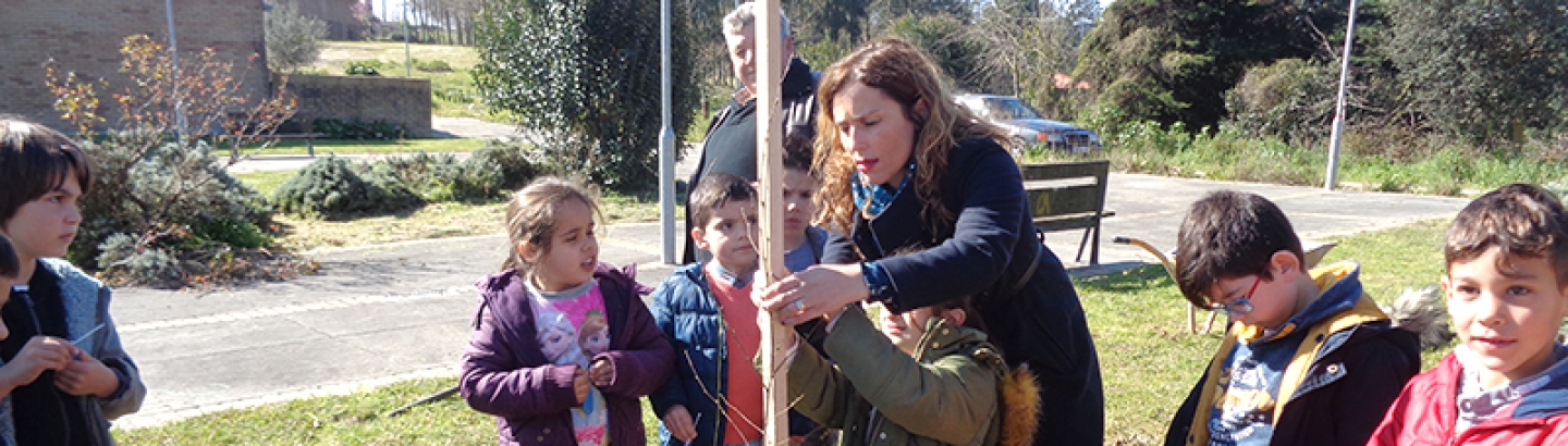 Dia Mundial da Árvore foi assinalado na Freguesia de S. Pedro de Rates