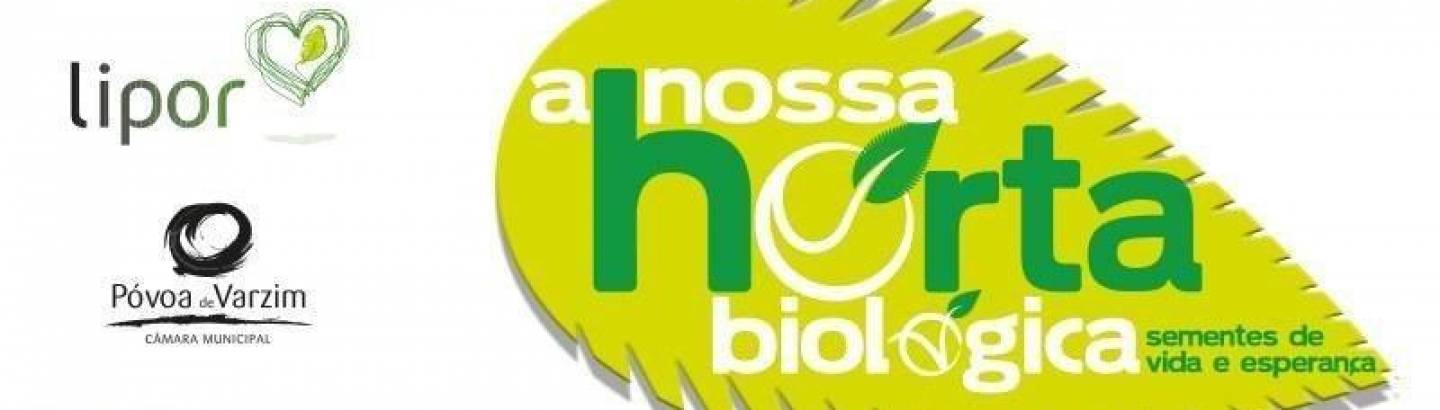 A Nossa Horta Biológica ainda tem talhões disponíveis