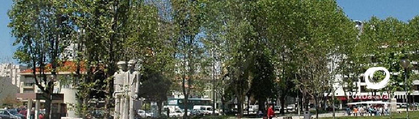 Abate de árvores na Praça Luís de Camões