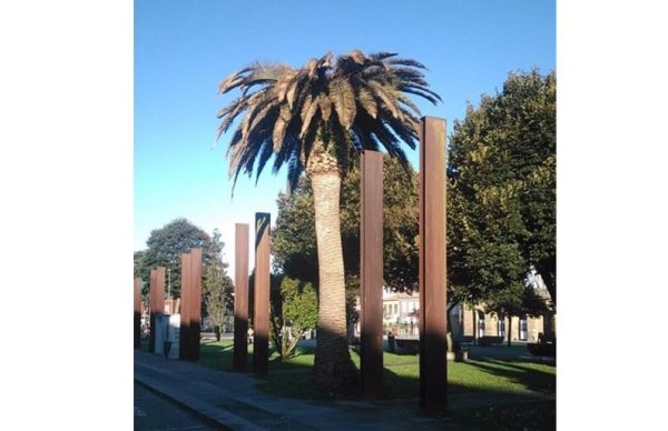 Abate de palmeira infestada na Praça do Almada