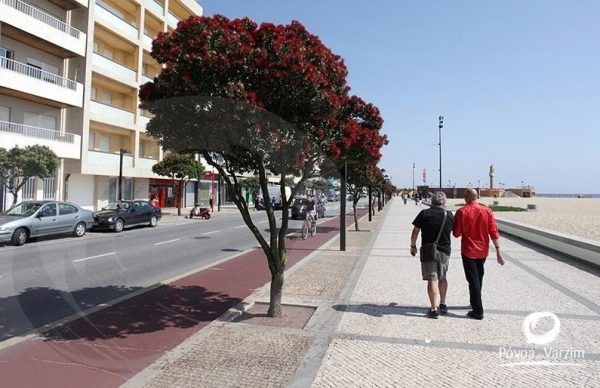 Abertura Regional do Ano Escutista na Póvoa: Condicionamentos de trânsito