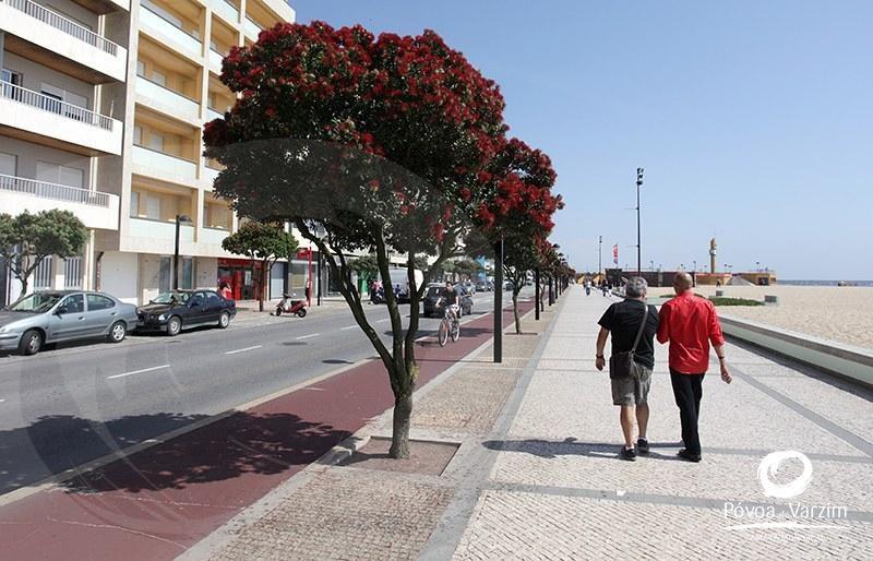 Abertura Regional do Ano Escutista na Póvoa: Condicionamentos de trânsito