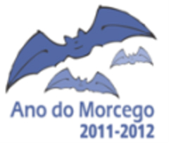 Município celebra Ano Internacional do Morcego