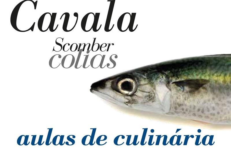 Aprenda a confecionar cavala no Mercado