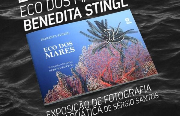 Benedita Stingl apresenta Eco dos Mares