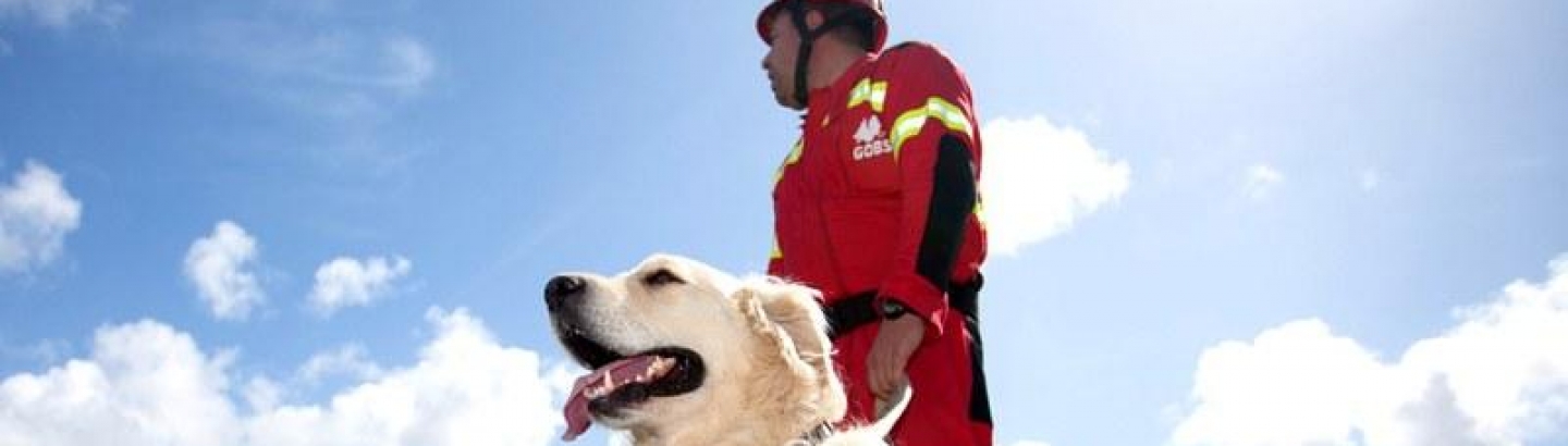 Biblioteca assinala Dia Mundial do Animal