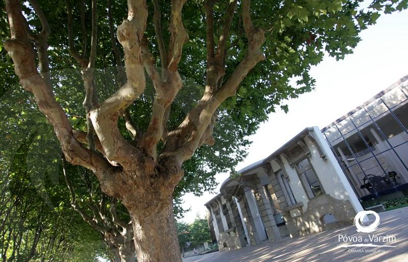 Biblioteca Municipal estará encerrada para obras