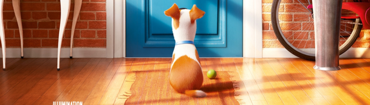 Cinema em setembro no Garrett