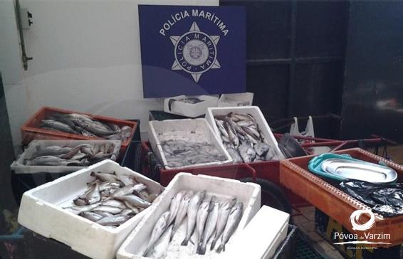 Câmara Municipal continua a trabalhar contra venda ambulante de pescado