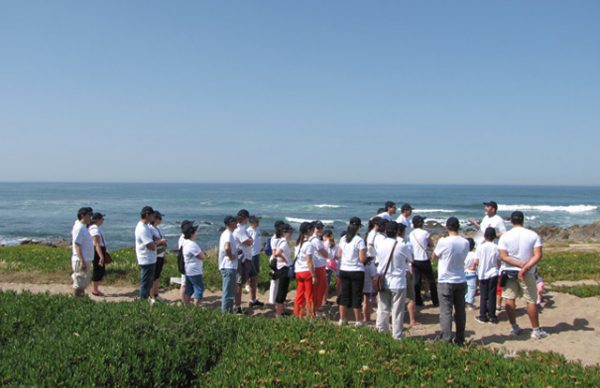 Conhecer para proteger – EcoCaminhada na praia deu a ver maravilhas do litoral poveiro