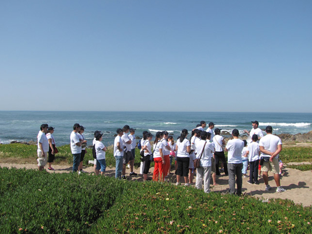 Conhecer para proteger – EcoCaminhada na praia deu a ver maravilhas do litoral poveiro