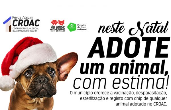 “Neste Natal, adote um animal com estima!” Mas não se esqueça que é um presente para a vida toda