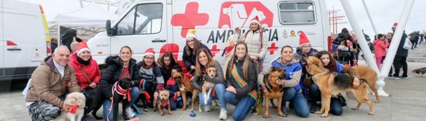 Cãominhada e Campanha de adoção no arranque de dezembro