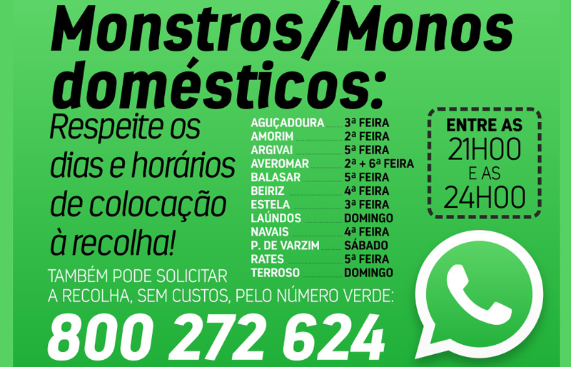 Respeite os dias e horários de colocação de monstros para recolha