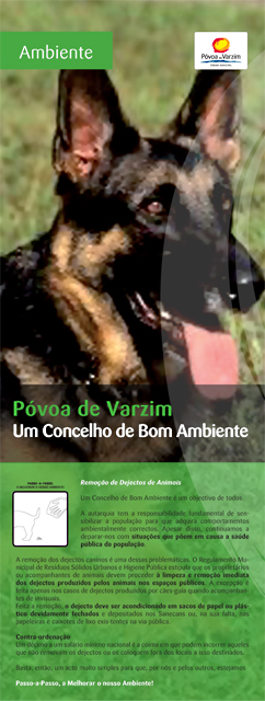 sanecam_cartaz