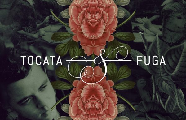 O cinema em fevereiro