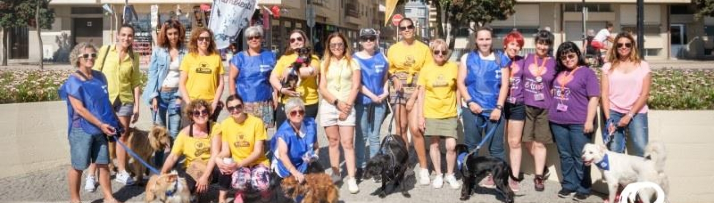 CROAC: vacinação, desparasitação e esterilização gratuita