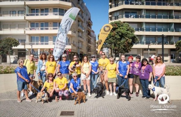 CROAC: vacinação, desparasitação e esterilização gratuita