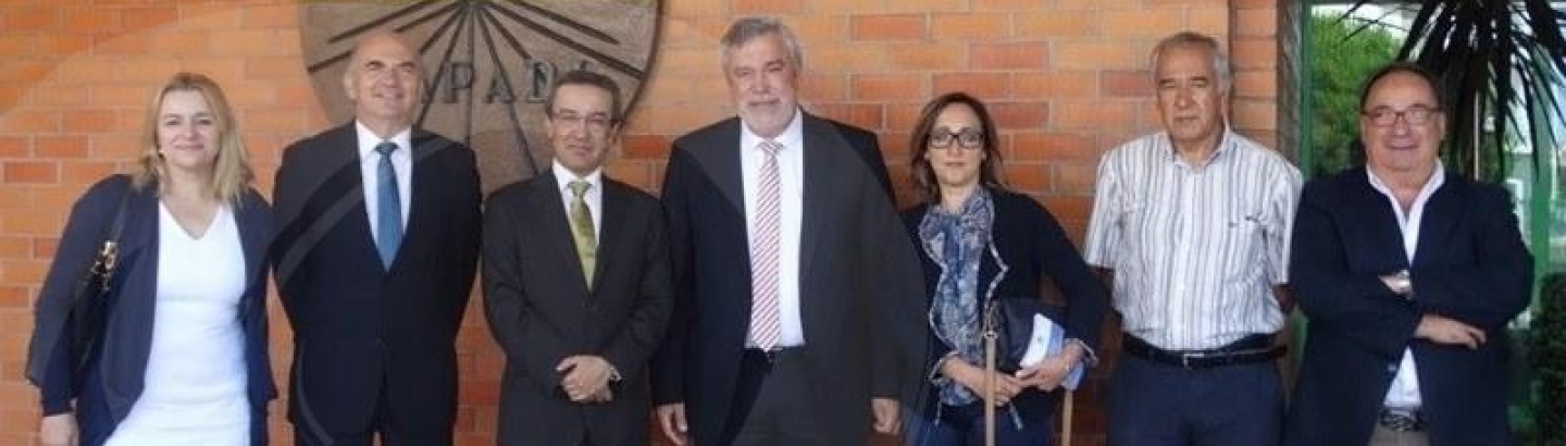 Delegado Regional do Norte do IEFP visitou MAPADI