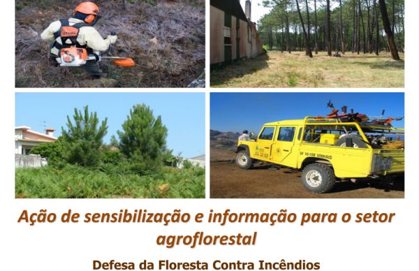 Defesa da Floresta contra incêndios - sessões de sensibilização