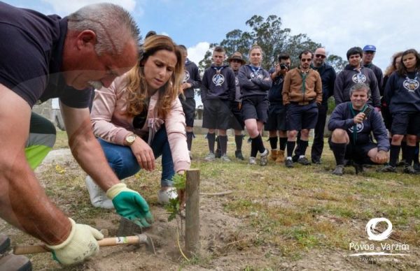 Escuteiros plantaram árvores em Argivai