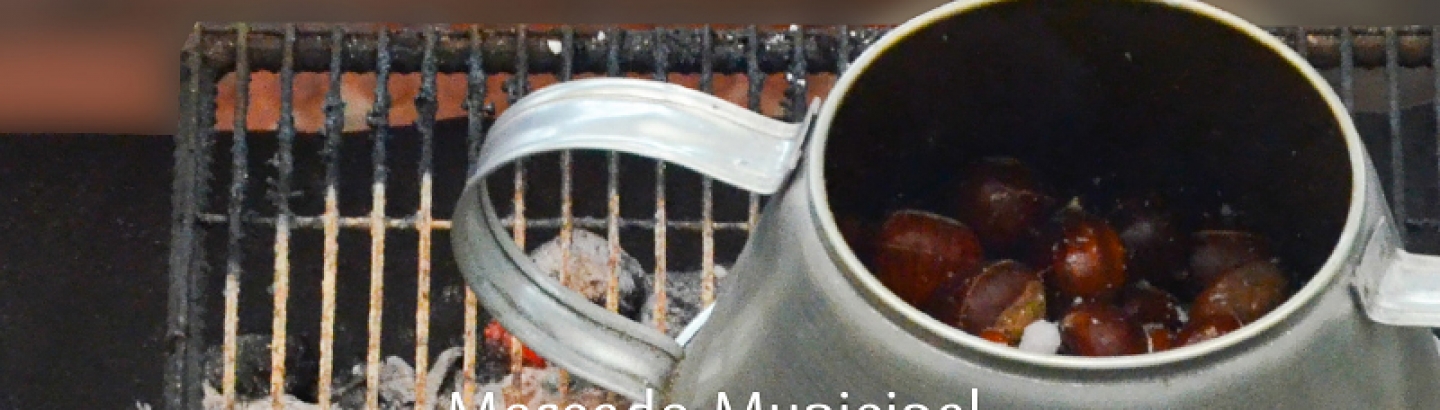 Mercado de S. Martinho