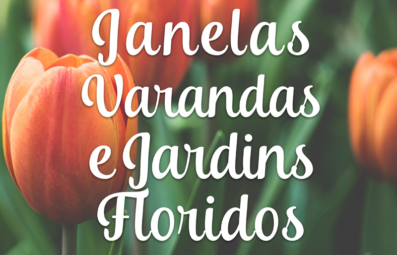 Júri escolhe as janelas, varandas ou jardins mais bonitos