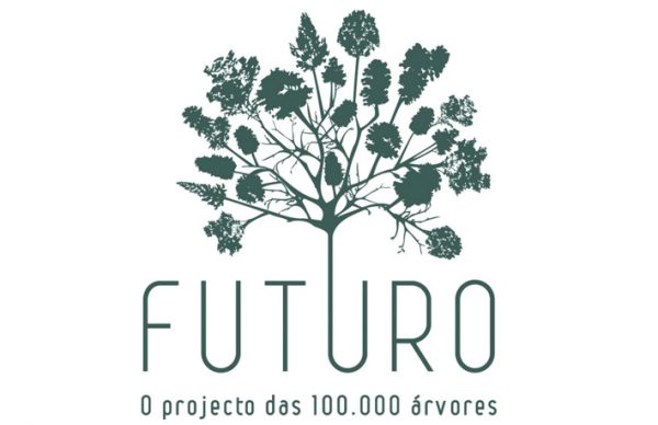 O Futuro na Estela