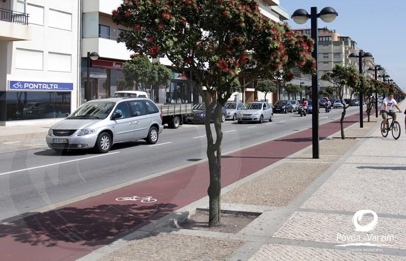 Sinalização rodoviária horizontal arranca na zona balnear