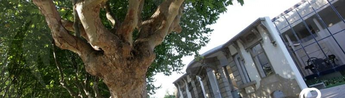 Horário de Verão da Biblioteca Municipal