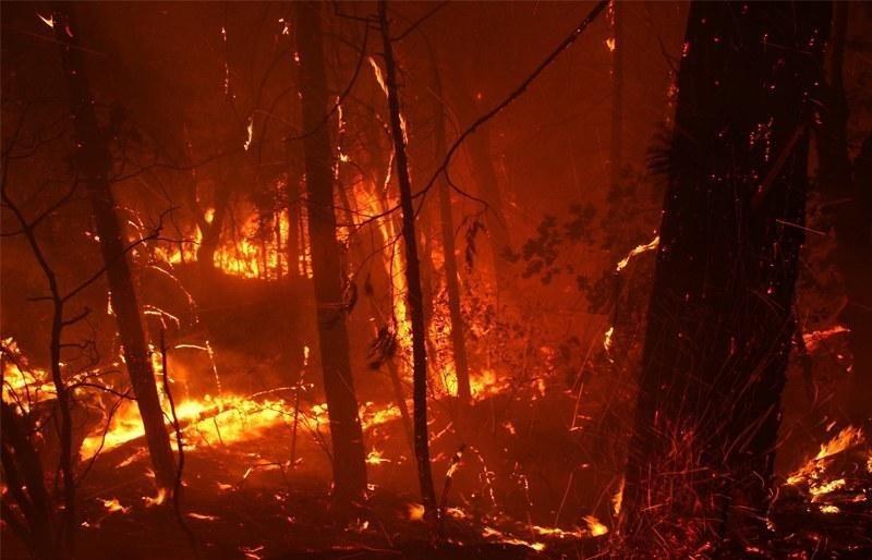 Aviso à População: Risco de Incêndio Florestal