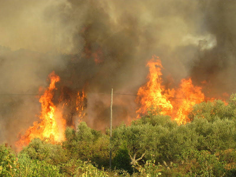 Incêndios: período crítico até 30 de setembro