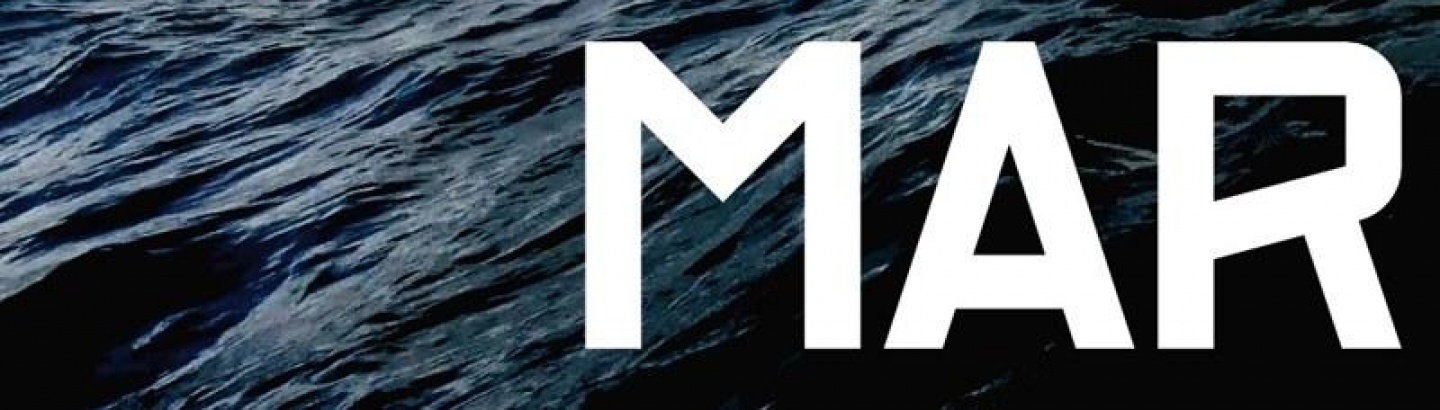 Instalação de Helder Luís em Serralves