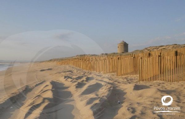 Instalação regeneradores dunares em Paimó