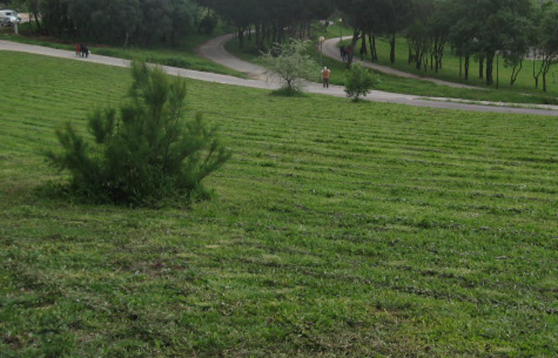 Município promove Curso de Jardinagem