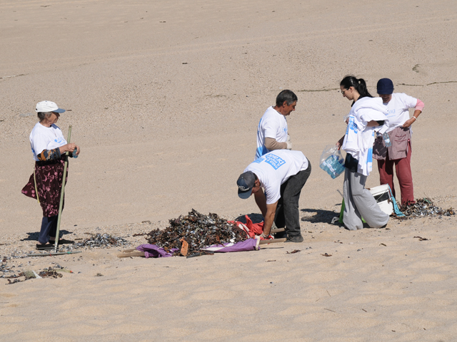 250 voluntários na limpeza das praias