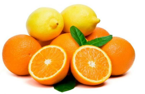 Medidas obrigatórias contra a praga "psila africana dos citrinos"