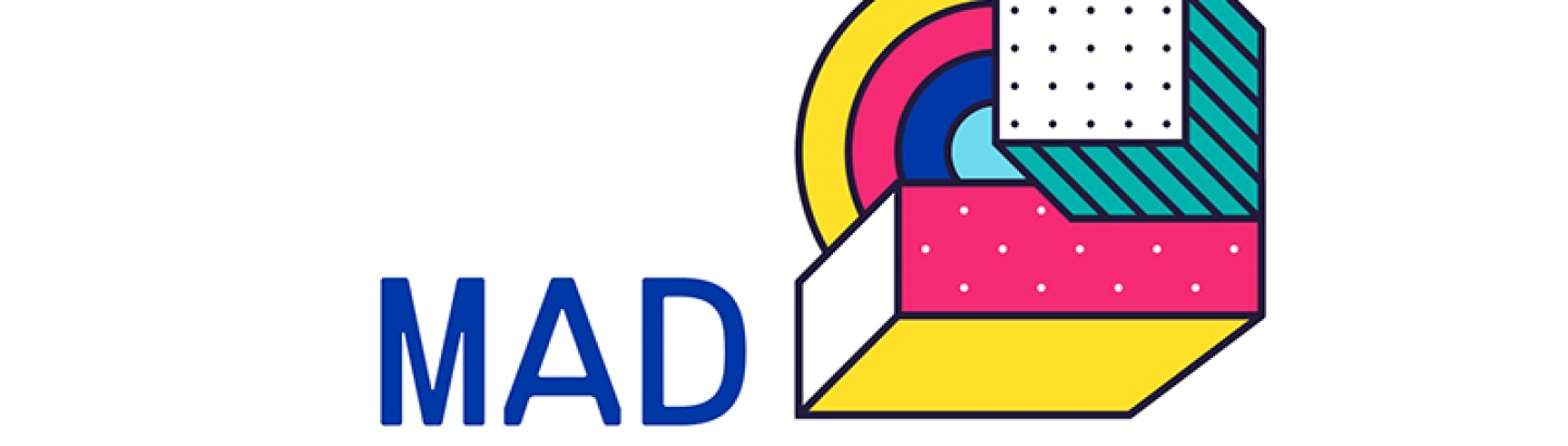 ESMAD tem novo projeto, MAD International Summer School