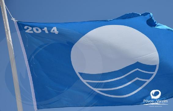 O oceano é cool!