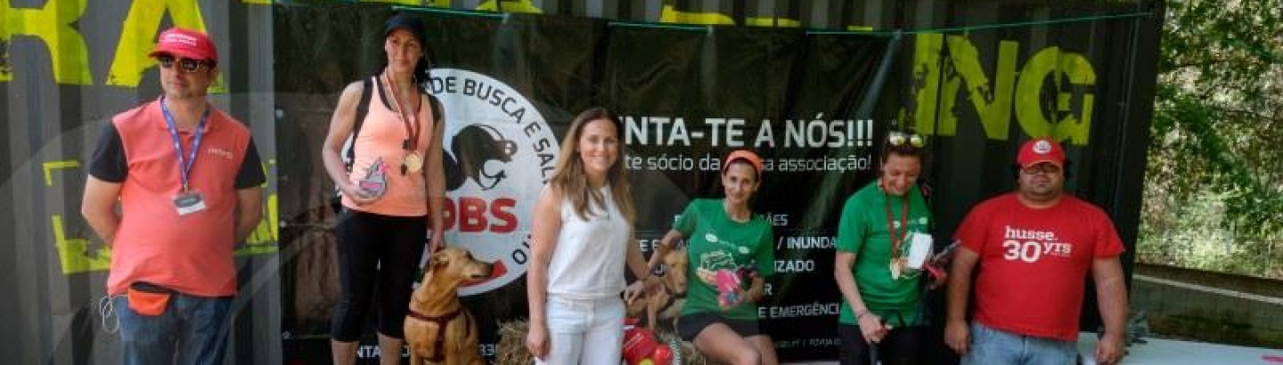 Os cães mais rápidos e destemidos premiados em Rates