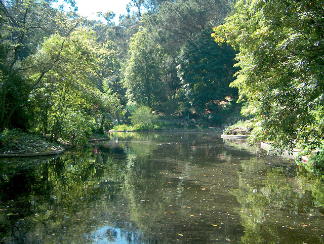 serralves